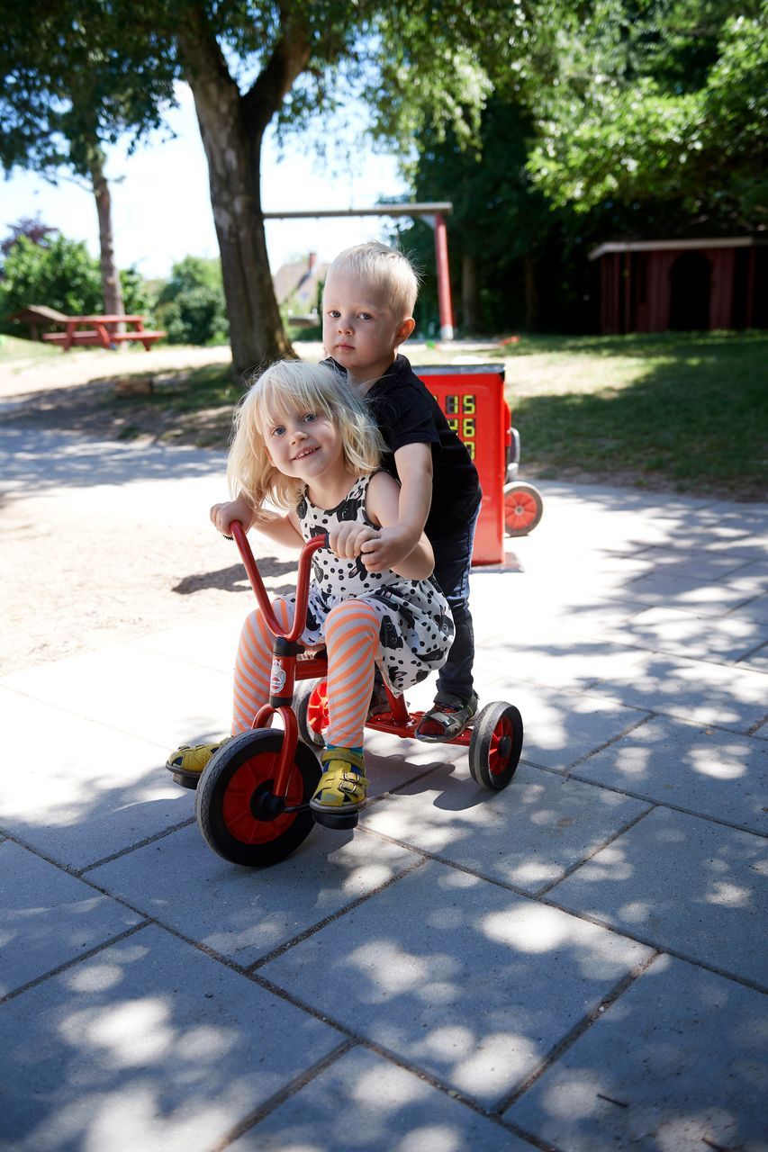 Winther Krippendreirad mit Steg