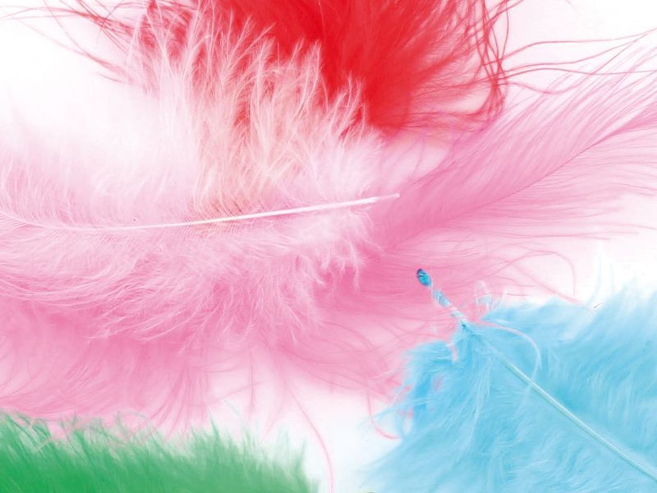 Flauschfedern bunt