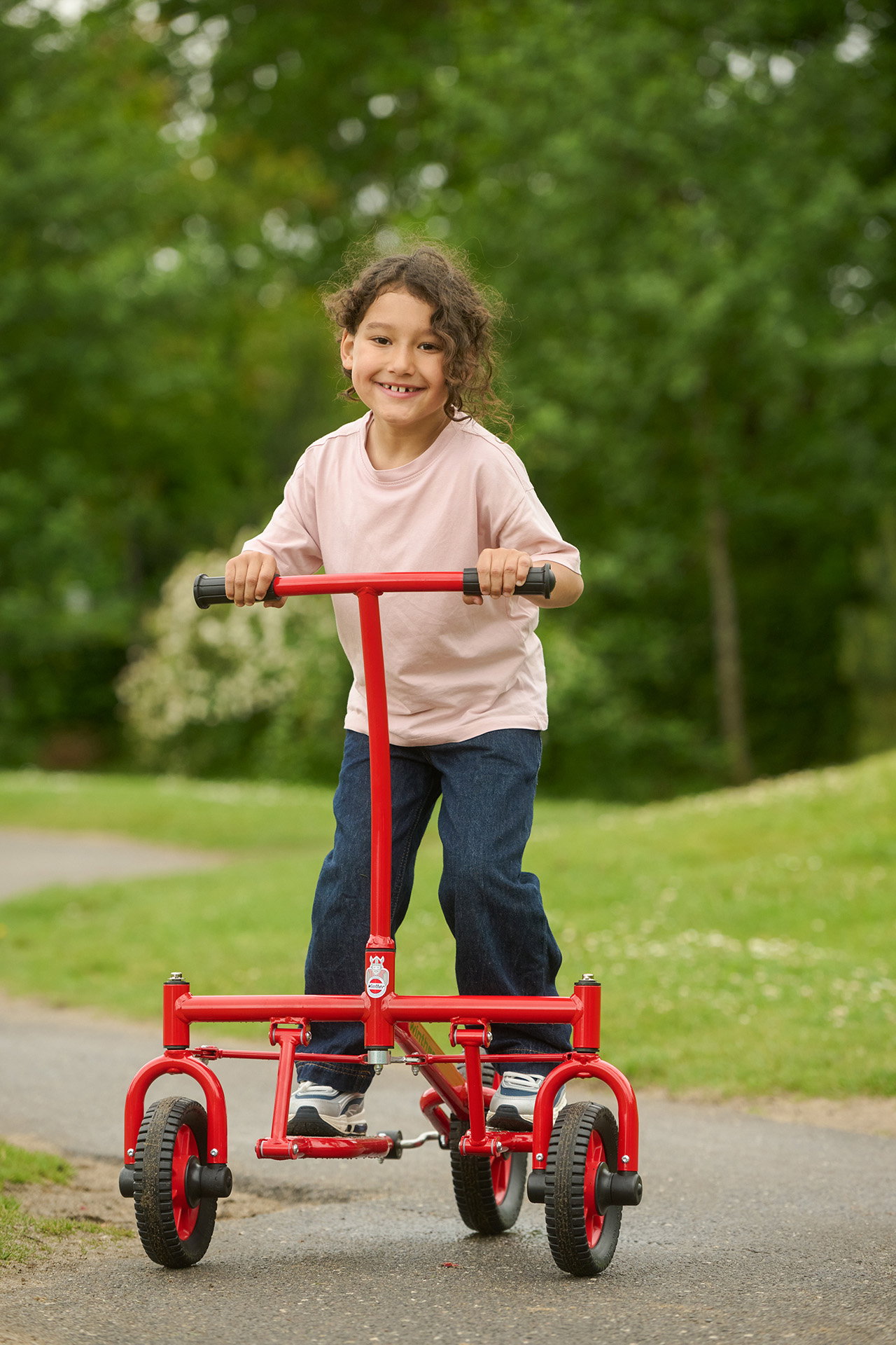 Viking Challenge Step Roller