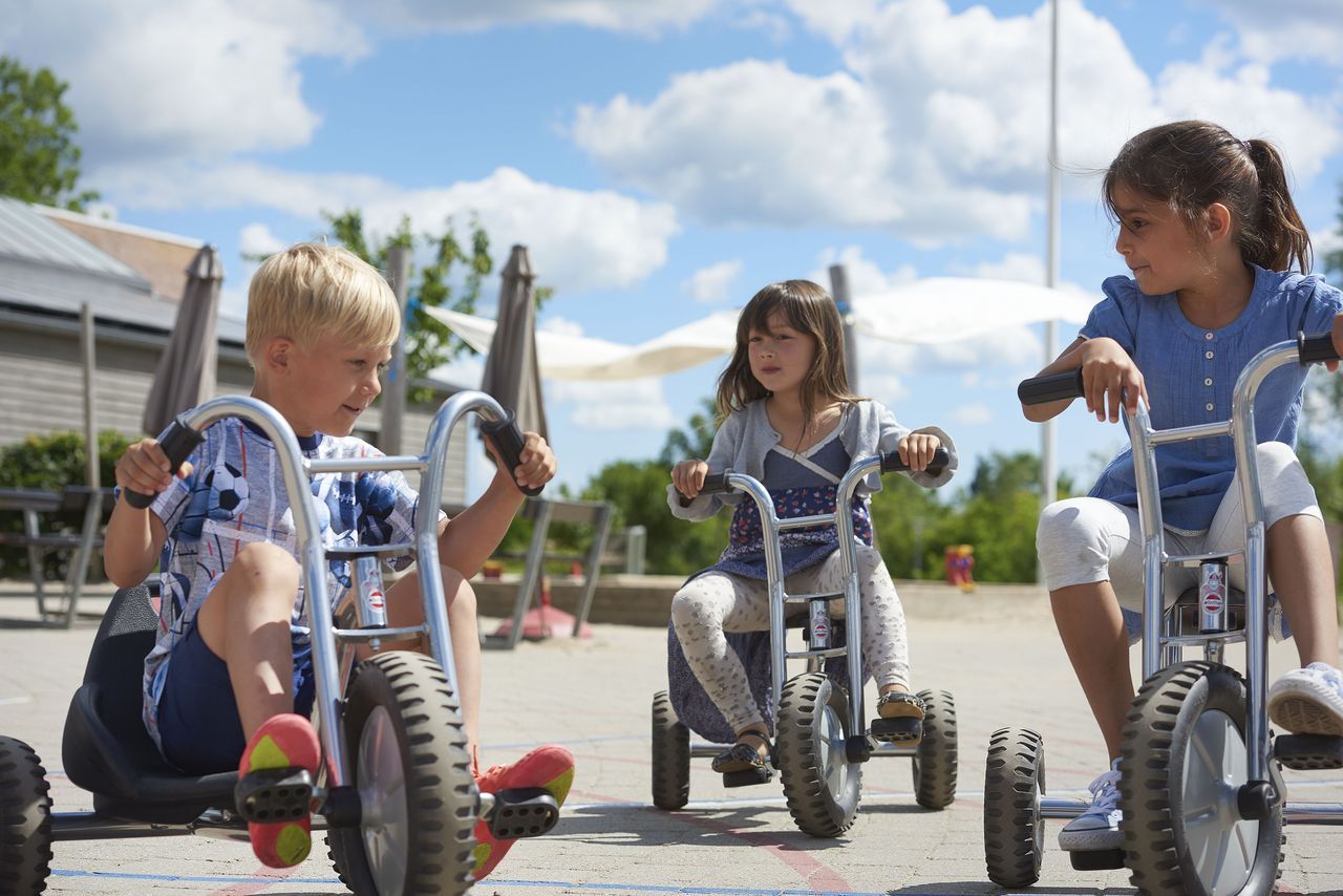 Winther VIKING EXPLORER OFF-ROAD Dreirad maxi