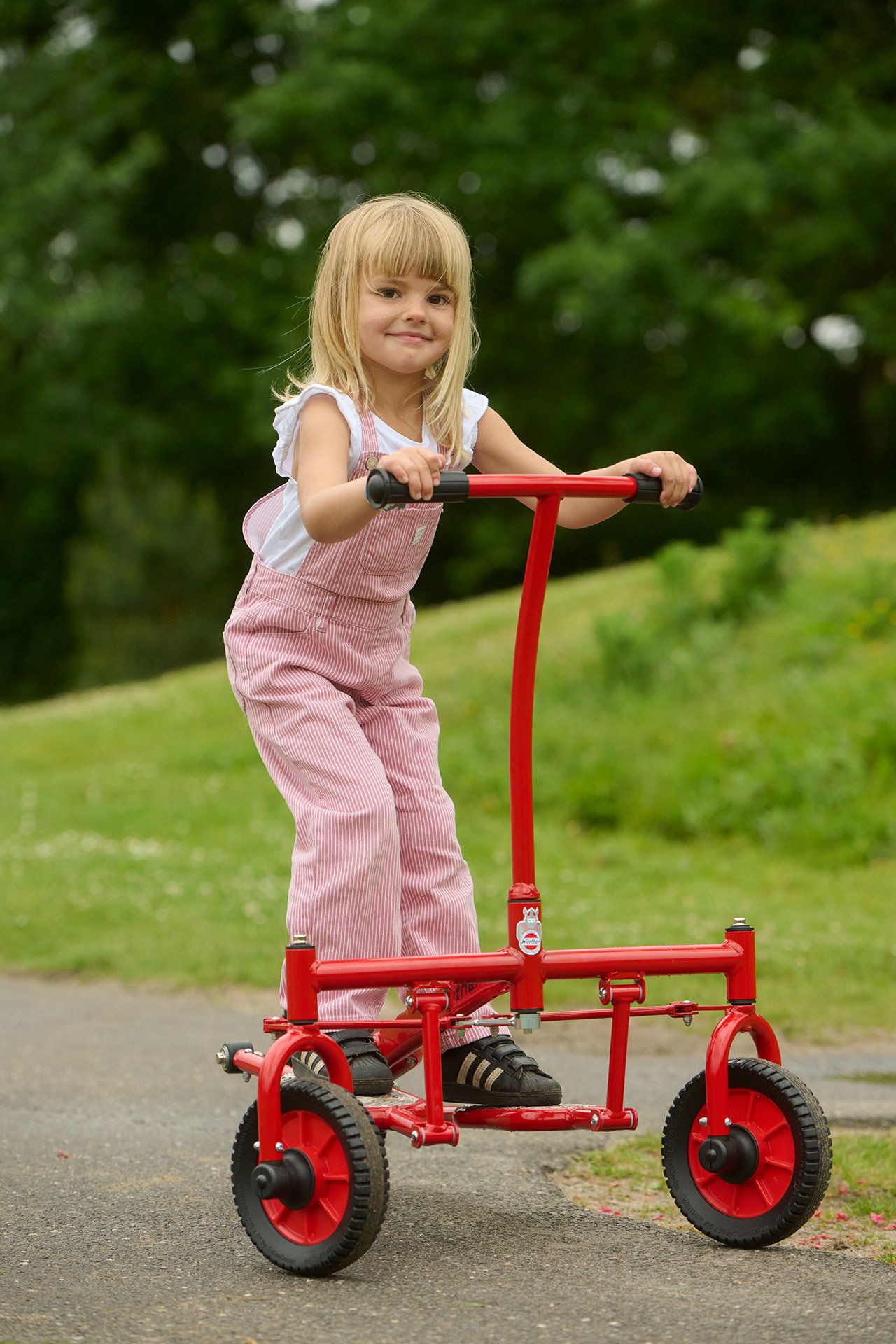 Viking Challenge Step Roller