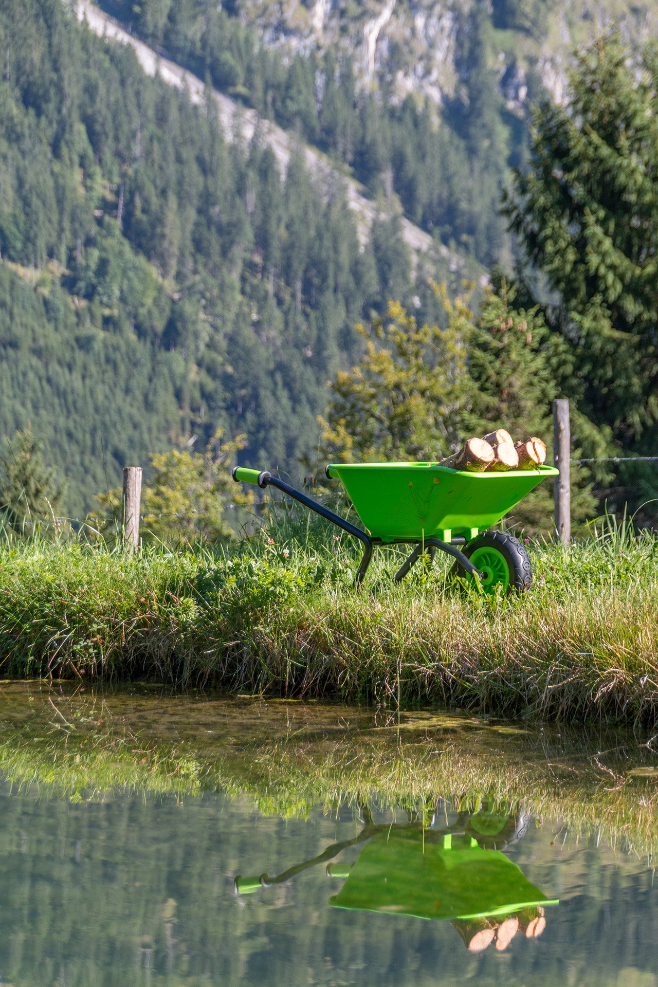 olifu bikez Schubkarre