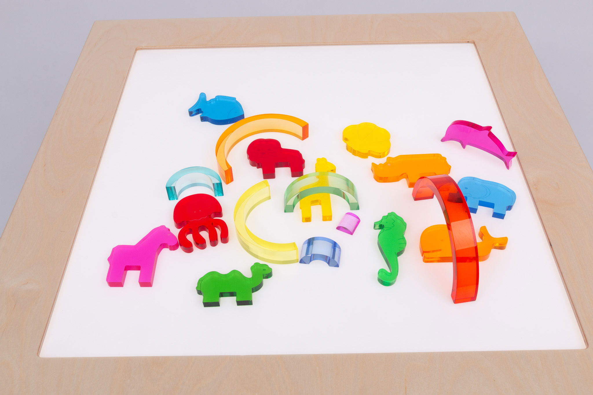 Acryl Meerestiere 6er-Set