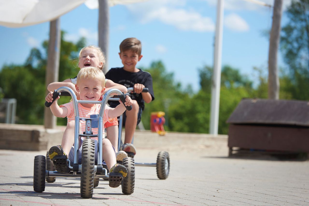 Winther Viking Explorer OFF-ROAD Easy Rider