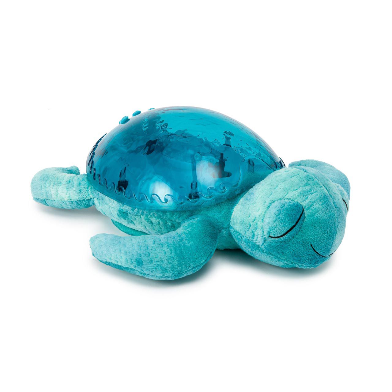 Turtle Aqua