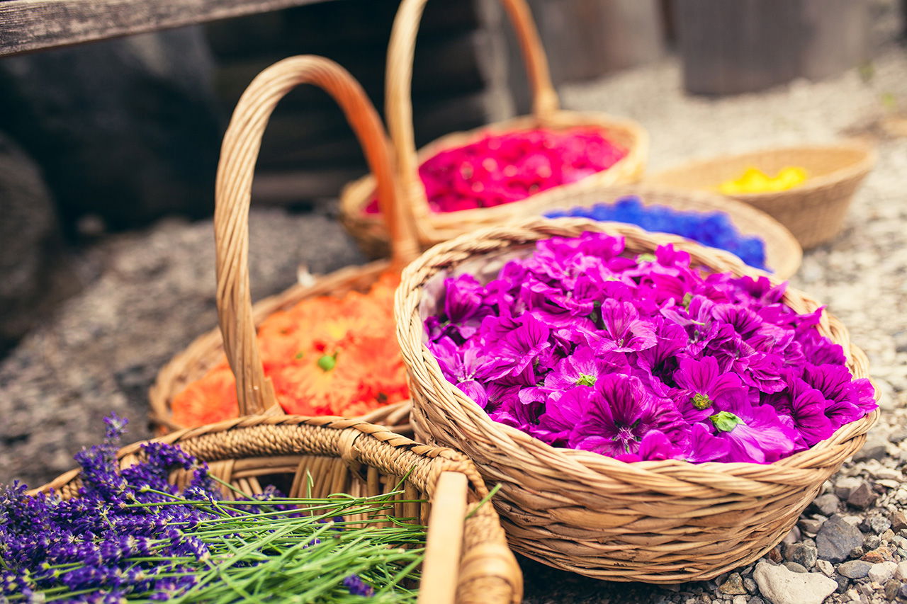 Ringelblume -Kamille  Salbe