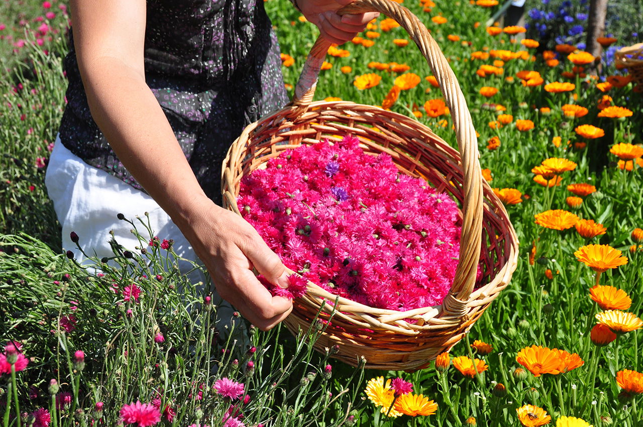 Weihnachstduft Bio Ätherisches Öl