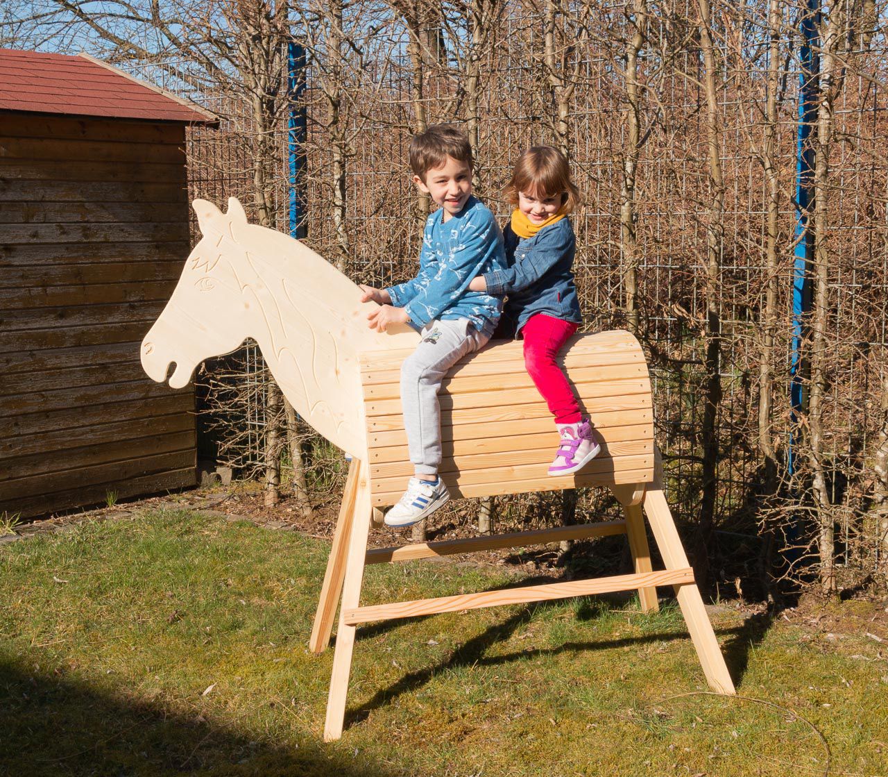 Kindergartenpferd Hans