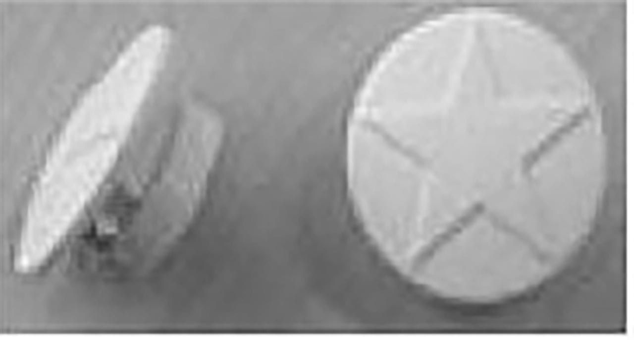 Winther Radabdeckung weiß, 2er Set für PlasmaCar