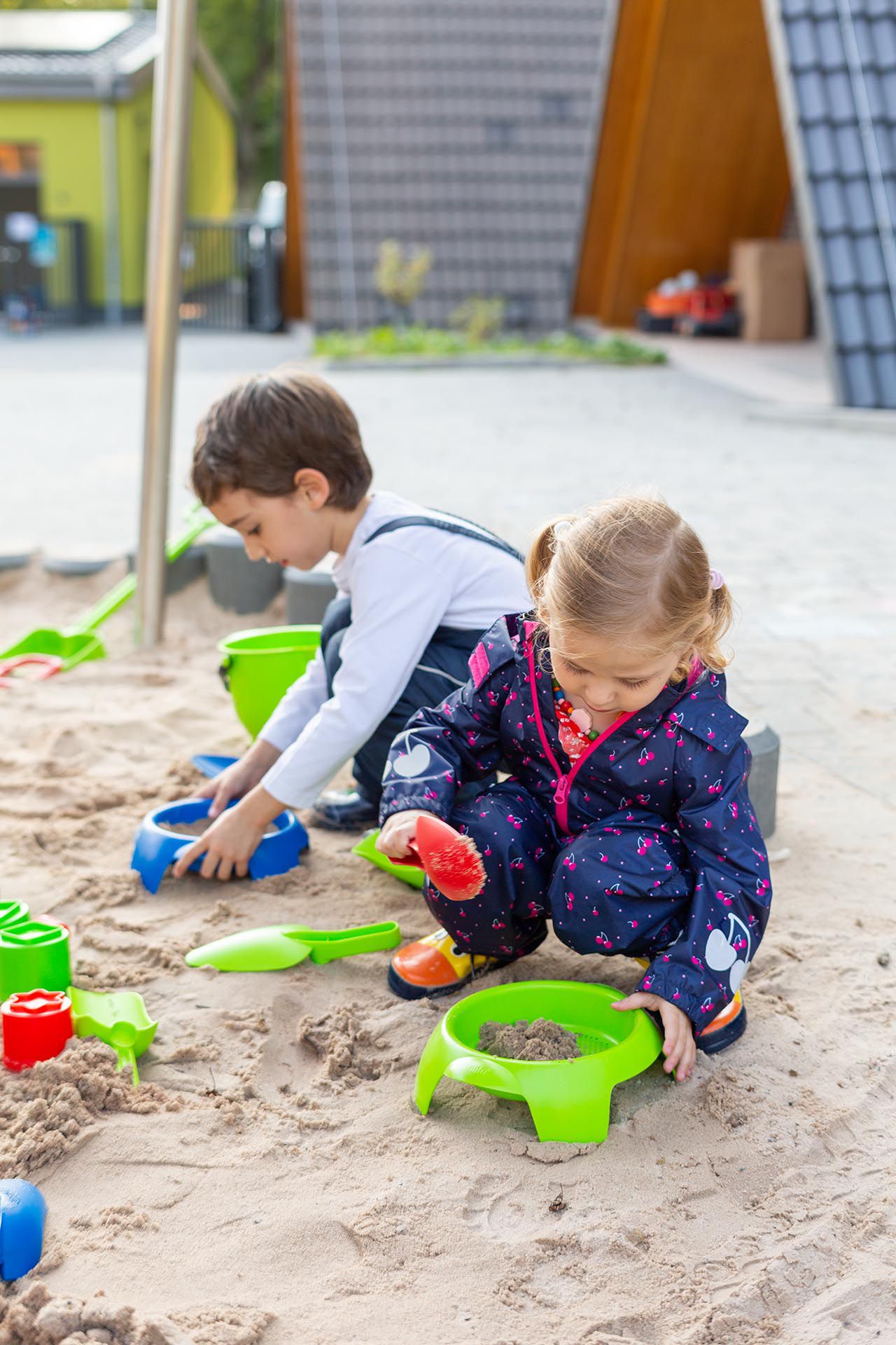olifu Sandsieb einzeln