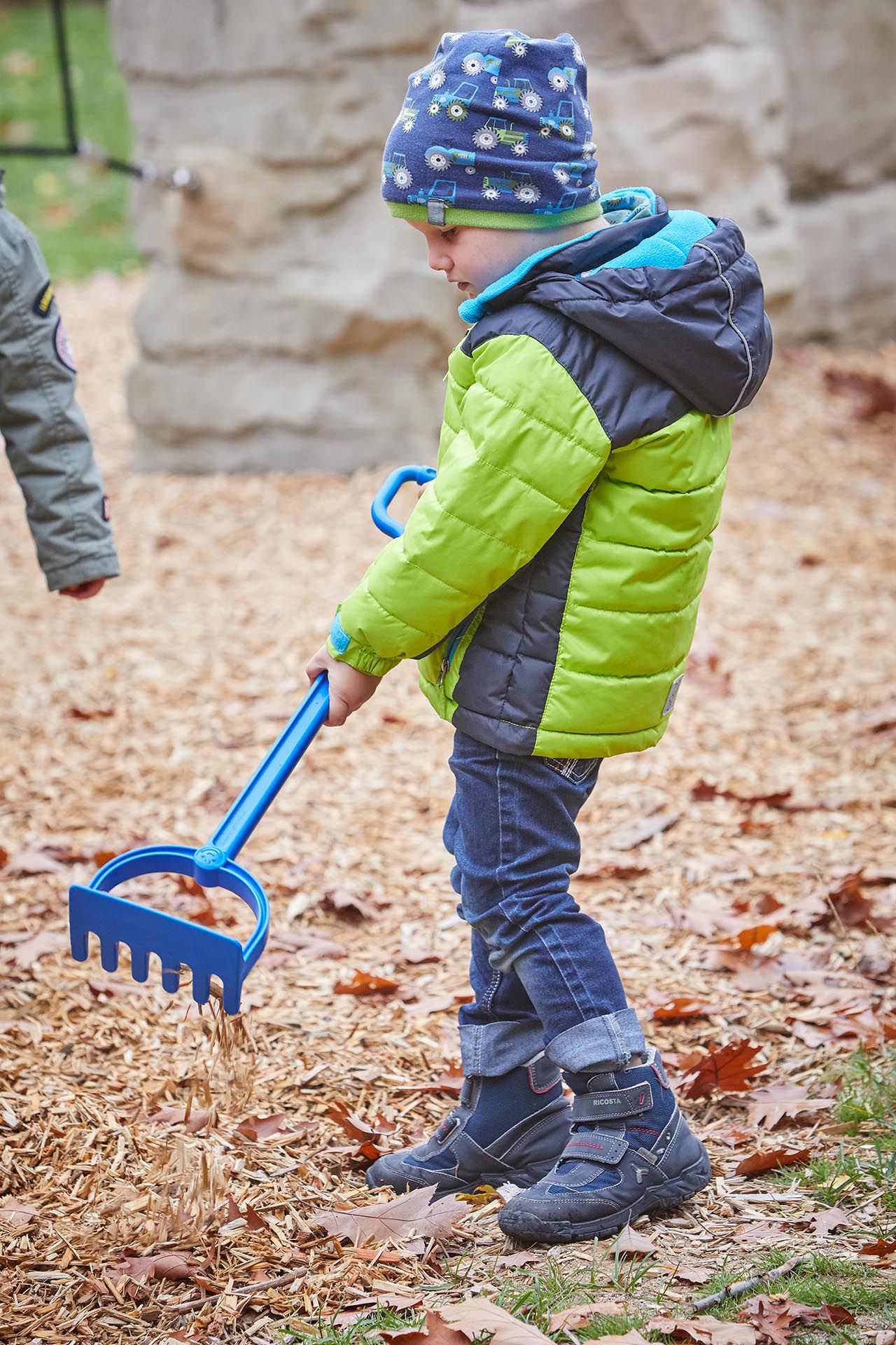 olifu Sandrechen 66 cm